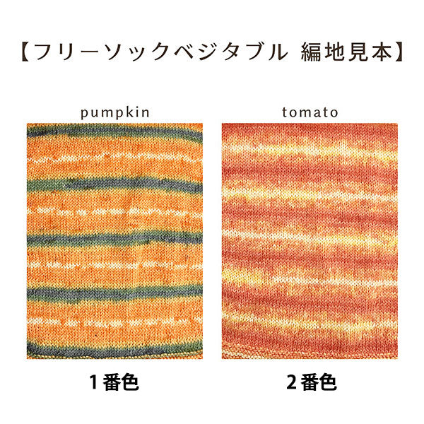 ソックヤーン 毛糸 『抗菌防臭フリーソック ベジタブル 1番色 パンプキン』 World Selection ワールドセレクション 【ユザワヤオリジナル】