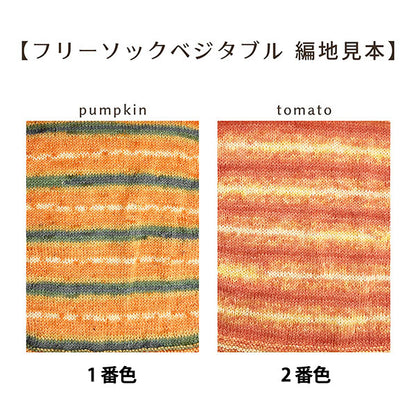 ソックヤーン 毛糸 『抗菌防臭フリーソック ベジタブル 3番色 キュウリ』 World Selection ワールドセレクション 【ユザワヤオリジナル】