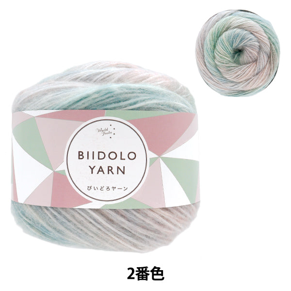 Biidoro Yarn No.2 AB-1666 - Yuzawaya Original (World Festa)