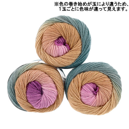 Fil à chaussettespelote de laine « Petite chaussette 1ère couleur » World Festa World Festa [YuzawayaOriginale】