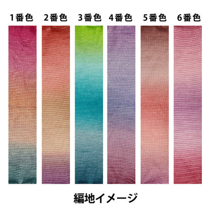 Fil à chaussettespelote de laine « Petite chaussette 1ère couleur » World Festa World Festa [YuzawayaOriginale】