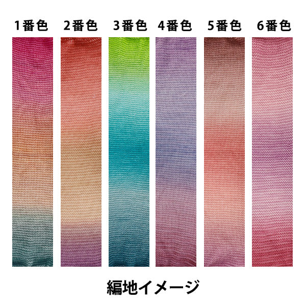 ソックヤーン毛糸 『リトルソック 2番色』 World Festa ワールド