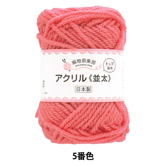 Yarn "Knitting Club, Namita, Color 5" Hamanaka