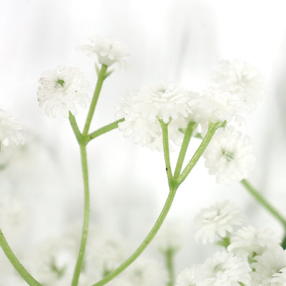 artificial flower silk flower "Gypsophila gypsophila ZYTJYS01-1”