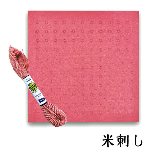 BeadsKit "BeadsSashikoexclusiveFabricThread set rice stab BS-N9] TOHO BEADS Toho beads