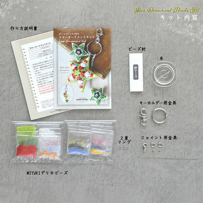 Kit perle "Kit ornamentale Star Natale BFK626" Miyuki Miyuki