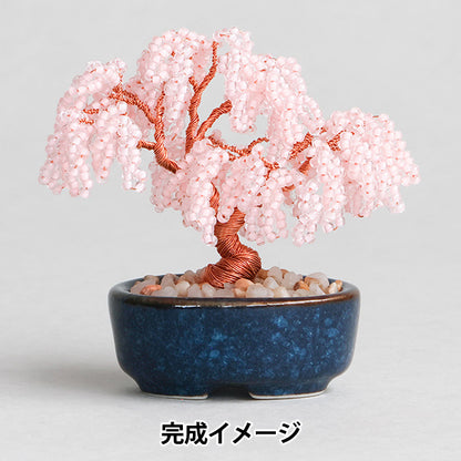 珠一定 "BONSAI枝垂樱HCA30//9》MIYUKI美雪