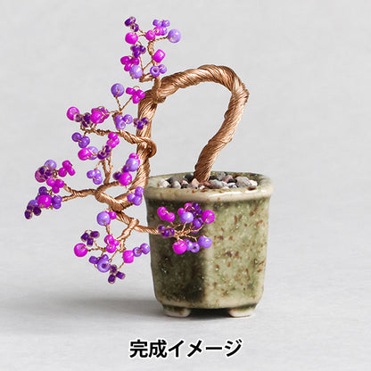 珠一定 "BONSAI紫式部HCA30//11》MIYUKI美雪