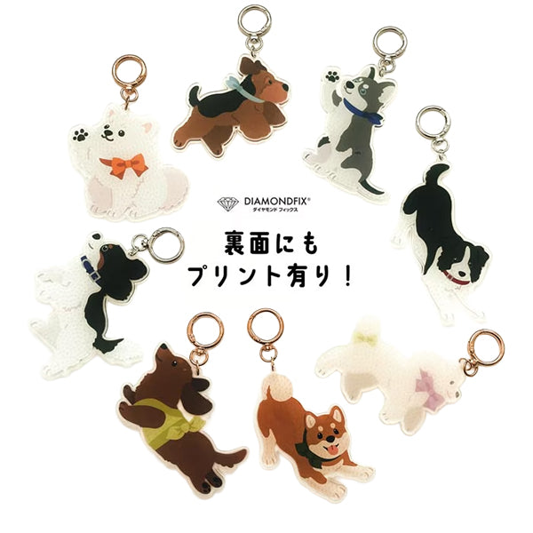 PerlesKit "Diamond Fix Porte-clés Chien Caniche 10-6036''