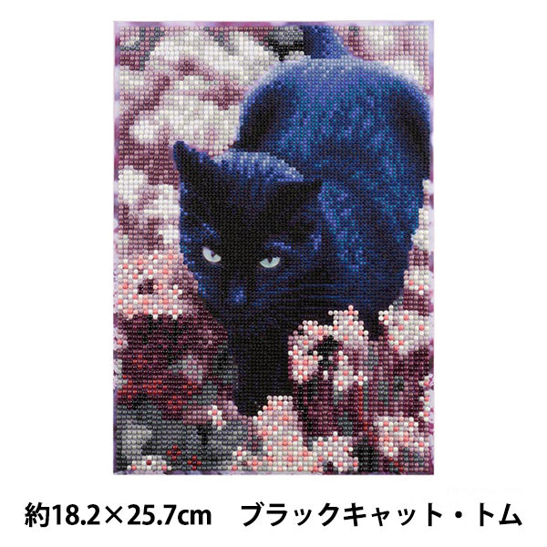 CuentasKit "Diamond Fix Black Cat Tom 10-5972''