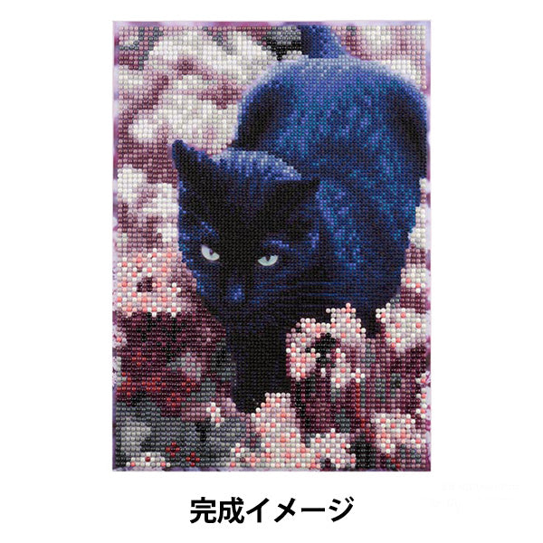 CuentasKit "Diamond Fix Black Cat Tom 10-5972''