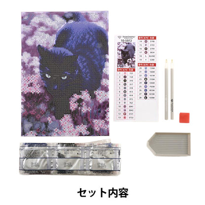 CuentasKit "Diamond Fix Black Cat Tom 10-5972''