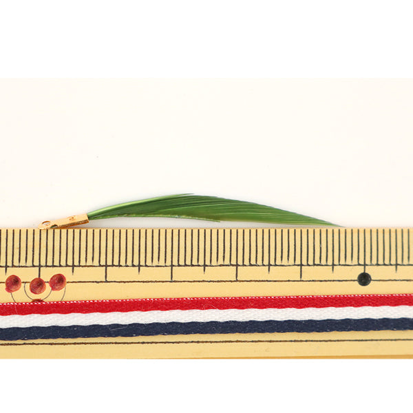 Materiale accessorio "Parti di piume 5 cm 4 pezzi GREN GM-B-3E"