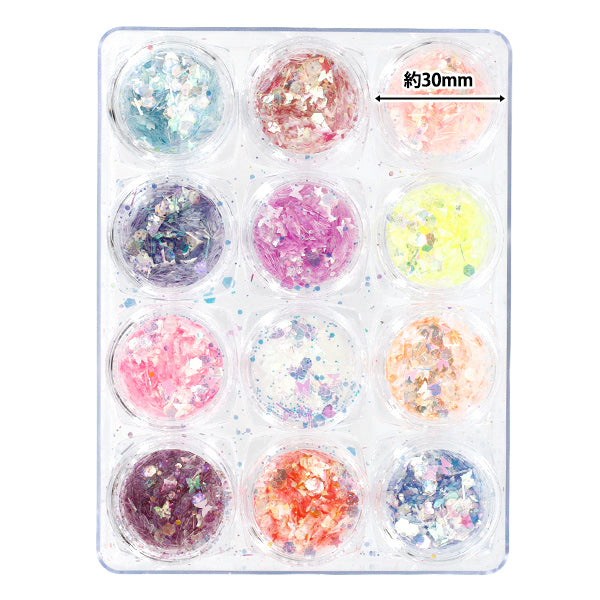 Resin Materials "Jewelry Palette 12 Hologram F YS-2-9"