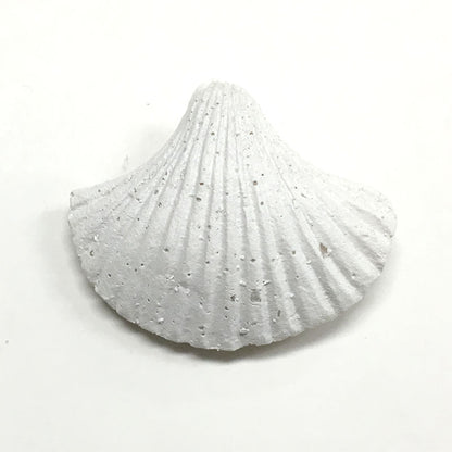 Bouton "Bouton shell SF-3"