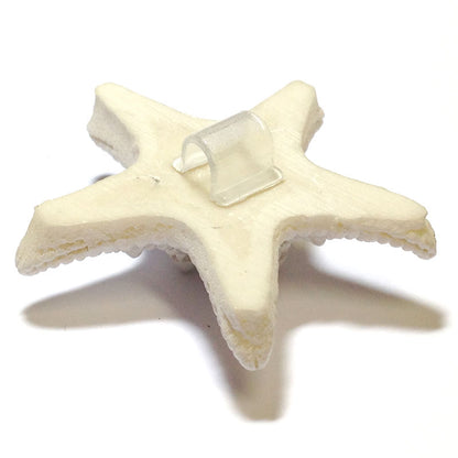 Bouton "Bouton shell SF-3"