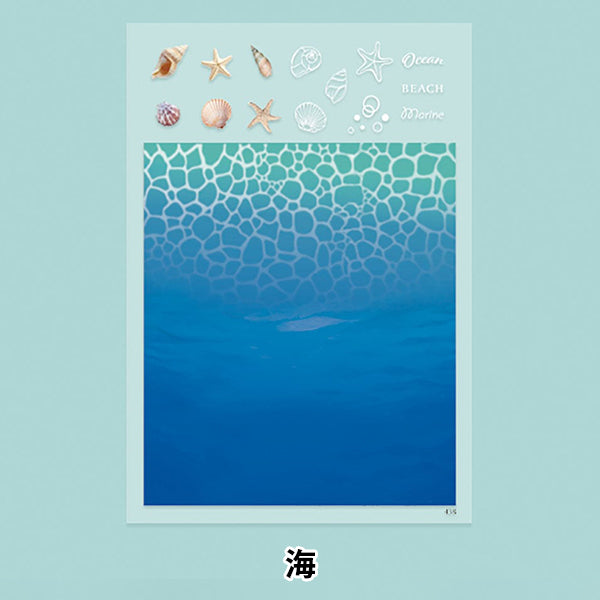 레진재료 "흰색 디자인 필름 SEA PPF-438" 에루 베루