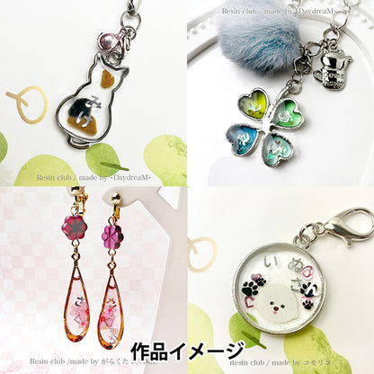 Harzmaterial "Hiragana Silber RC-HIR-003" Harzclub