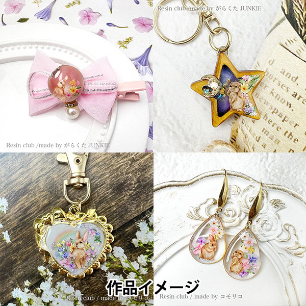 Harzmaterial "Harzversiegelung Kaninchen doppelseitig RC-RAB-103" Harzclub