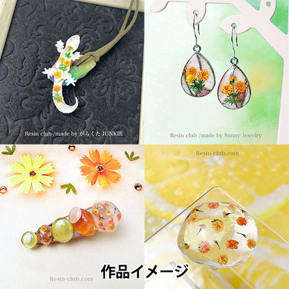 Matériau en résine "Marigold RC-MRG-101" Club de résine