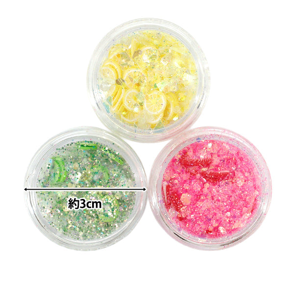 レジン材料 『Resin Lab(レジンラボ) クラッシュホログラムセット フルーツ RLP-14』 KIYOHARA 清原