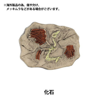 mestiere in miniatura "Collezione Oshi Style Fossil YOSK-69”