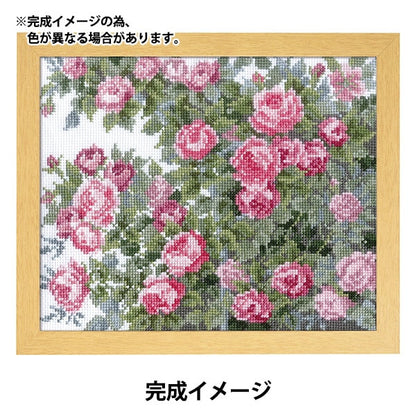 Kit de broderie "Kit de broderie de croix de croix ono megumi fleur bien-aimée vieille rose 7450" Olympus olim Pass