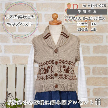 Wool "Wanpaku Dennis 10th Color" Hamanaka Hamanaka