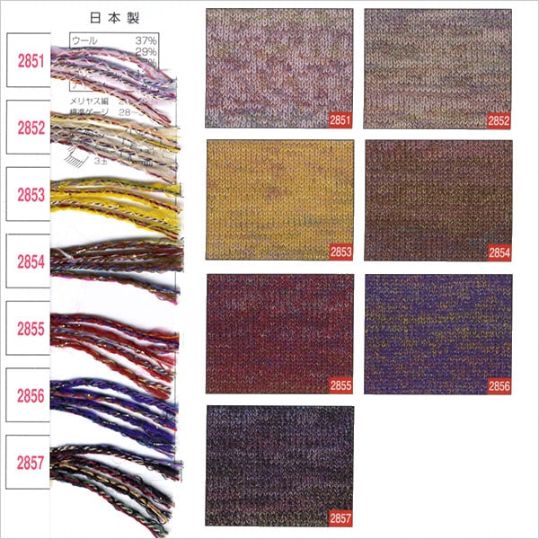 Осень / зимняя шерсть "Ski Allegro (Ski Allegro) 2854 Color" Skiyarn Ski Yarn