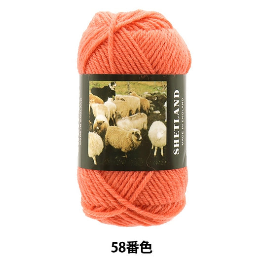 秋冬毛糸 『SHETLAND (シェットランド) 58番色』 Puppy パピー