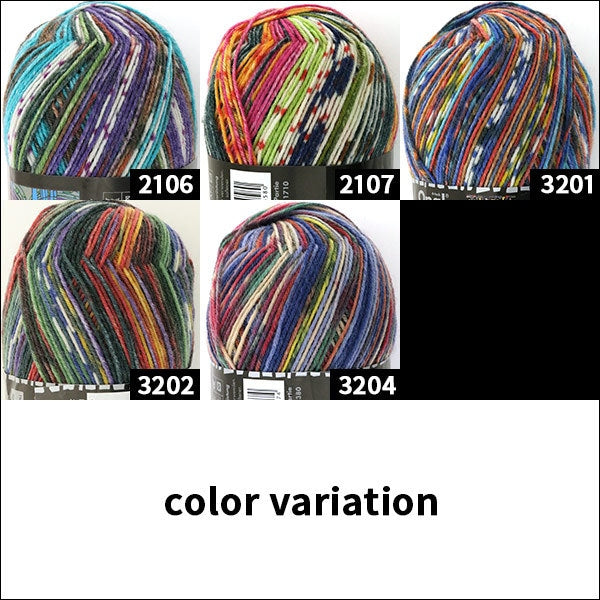 ソックヤーン 毛糸 『Hundertwasser (フンデルトヴァッサー) 1433番色