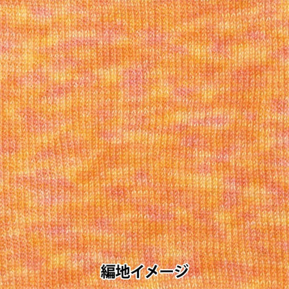 Lana autunnale / invernale "Hamanaka Mohair colorato 303 Color" Hamanaka Hamanaka