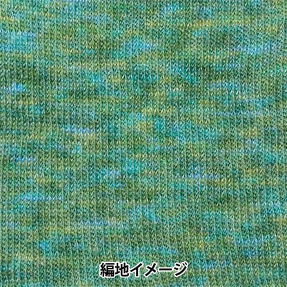 Fall and winterYarn "Hamanaka mohair colorful 307th color" Hamanaka