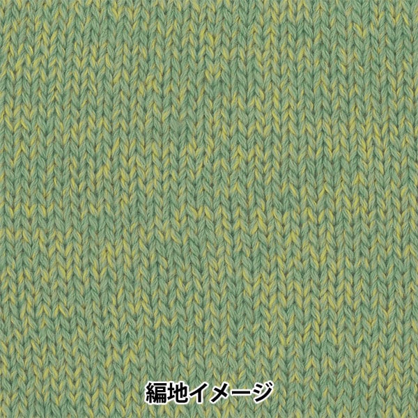 Fall and winterYarn "Tree House Leaves 15th color" Olympus