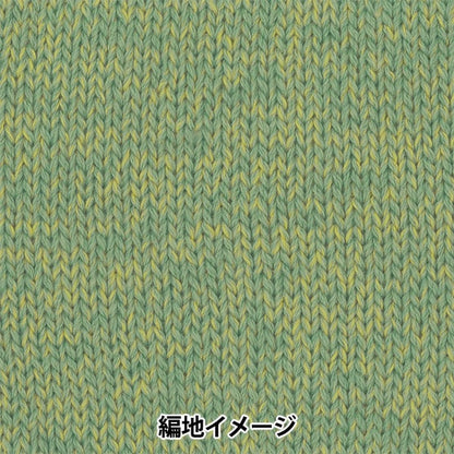 Fall and winterYarn "Tree House Leaves 15th color" Olympus