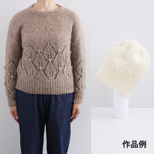 Herbst / Winter Wolle "Wolle Mohair (Wolle Mohair) 12. Farbe" Daruma Darma Yokota