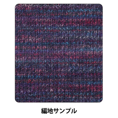 Automne et hiverpelote de laine "Pure gradation violette première couleur"