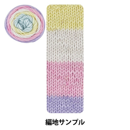 Yarn "Antibacterial and deodorant colorful clean 12th color"