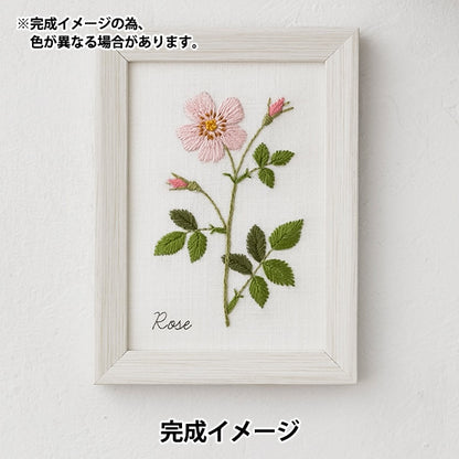 Kit de bordado "Kazuko Aoki 12 meses de cuaderno de plantas Rose 542006" Lecian Lucian Cosmo Cosmo