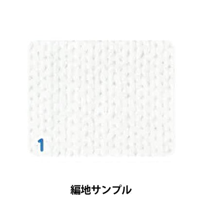 Spring / summerYarn "Antibacterial and deodorant Cotton Every (Cotton Every) No. 1 White" WORLD FESTA World Festa