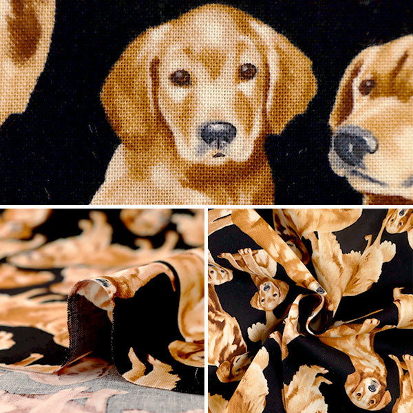 [Da 5] tessuto "stampa a getto d'inchiostro Golden Retriever C4892-Golden" Cotton USA