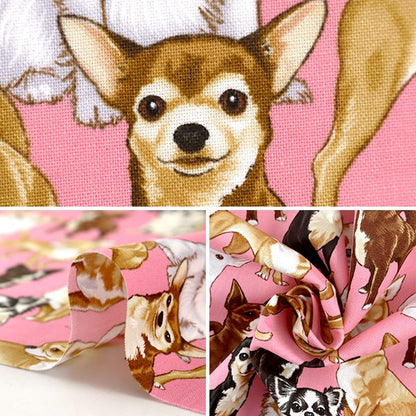 [From quantity 5] Fabric "Inkjet print Chihuahua C3191-PINK" USA cotton