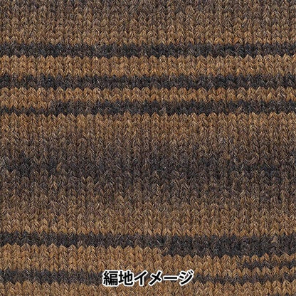 Herbst und WinterGarn "Andnes 8th Color" Richmore Rich More