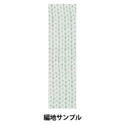 Automne et hiverpelote de laine "Green de laine lavable antibactérien 8e couleur"