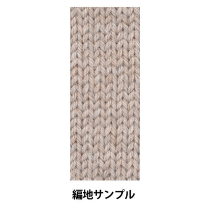 Fall and winterYarn "Antibacterial deodorant washable wool extremely thick beige 10th color"