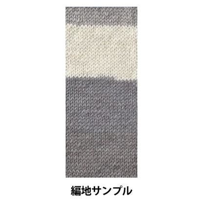 Fall and winterYarn "Antibacterial powder gradation 2nd color" WORLD FESTA World Festa