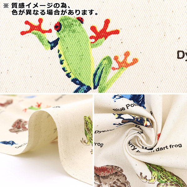 数量5から】 生地 『ツイル カエル図鑑 KTS6857-D』 COTTON KOBAYASHI