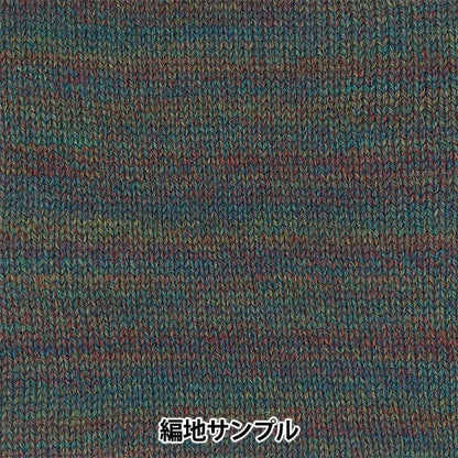 Fall and winterYarn "SKI LOBEL (Ski Robel) 8104 Color" SKIYARN Ski Yarn