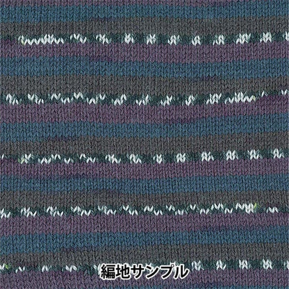 Fall and winterYarn "SOCK80 (Sock AT) 5th color" SKIYARN Ski Yarn