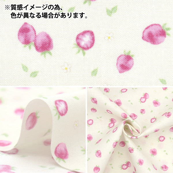 [From quantity 5] Fabric 『Sheeting Petite Collection Ichigo Beige PTC-LBE-C]